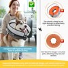 Inflatable Dog Cone Collar w/Pump - Medium + Dog Donut