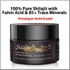 Hima Shilajit Shilajit, 2 PACK, 100% Pure Himalayan Resin+ Fulvic