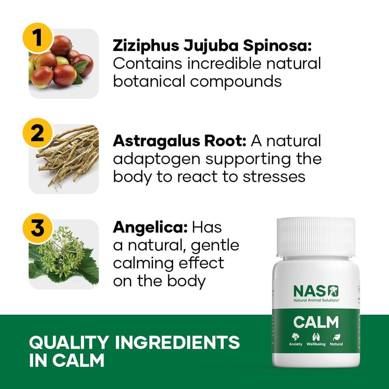 Natural Animal Solutions Calming Chewable Tablets for Dogs Anxiety Support.