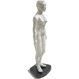 K.S. Choi Corporation Female Acupuncture Model 19" with Chinese and English Points
