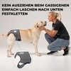 Nature Pet Hygiene Sanitary Pants for Female Dogs/ Pet Dog