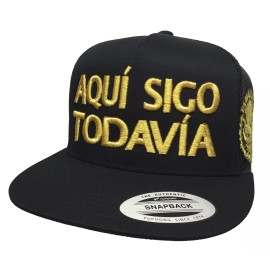 Unbranded AQUI SIGO TODAVÍA TAMAULIPAS 2 LOGOS HAT BLACK MESH MEXICO LOGO FEDERAL CHAPO
