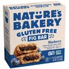 Nature’s Bakery Gluten Free Fig Bars, Blueberry, Real Fruit, Vegan,