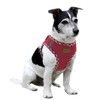 Aiminto Denim Dog Harness & Leash Set, Breathable Mesh, Lightweight,