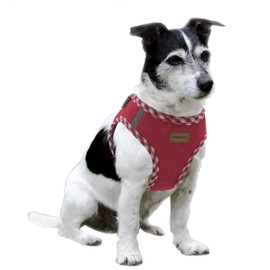 Aiminto Denim Dog Harness & Leash Set, Breathable Mesh, Lightweight, Reflective Harness Chest - For Small Dogs (Harness(Red), S Torso Range 14.2-16.5 inches (36-42 cm)