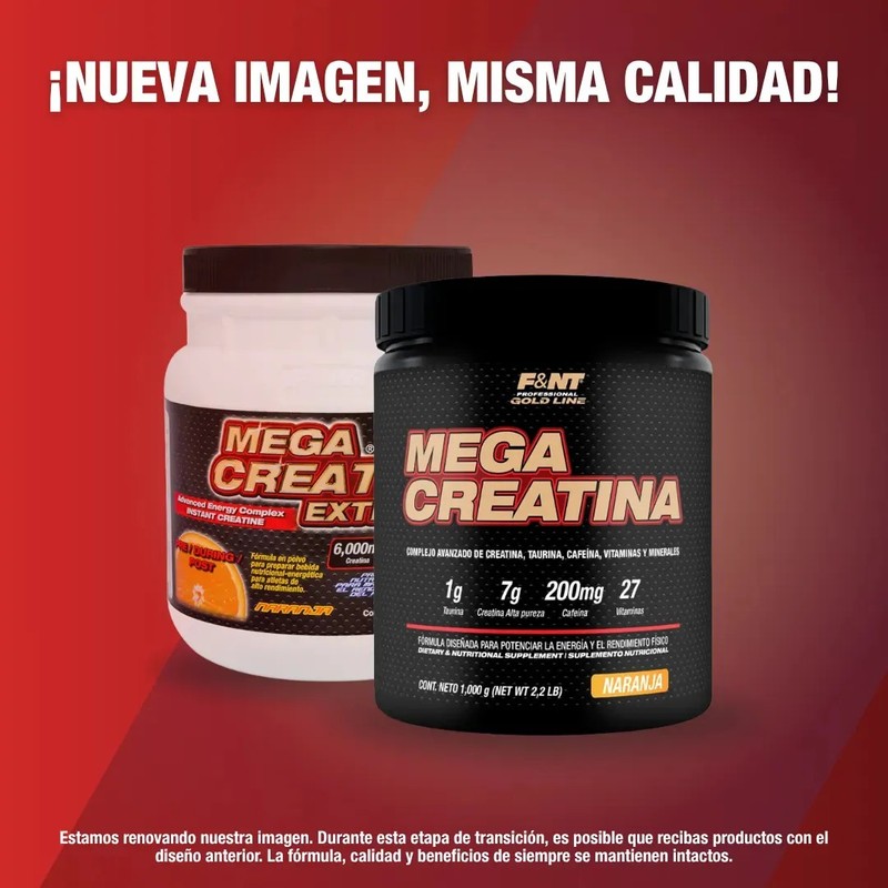 Creatina en Polvo Mega Creatine Extreme 1kg Naranja FNT Suplemento