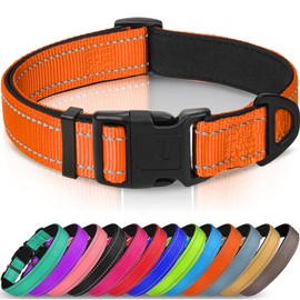 Joytale Nylon Dog Collar Reflective with Soft Neoprene Padded for Puppies Small Medium Large Dogs, 30-40cm, Orange
