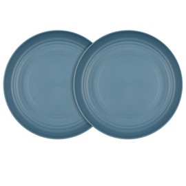 Soptalles 9 Inches Wheat Straw Plates, 2Pcs Unbreakable Dinner Plates, Reusable Plate,Deep Blue
