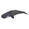 Realistic Sperm Whale Replica Simulated Marine Animal Model Educational Collector