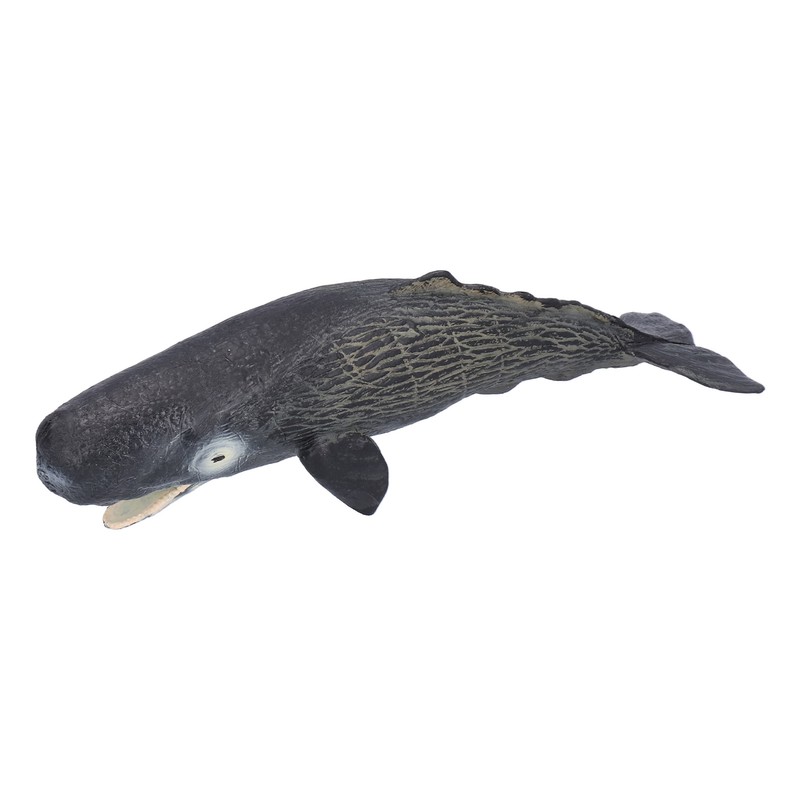 Realistic Sperm Whale Replica Simulated Marine Animal Model Educational Collector