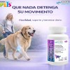 Complete Mobility Perros C/condroitina Y Glucosamina 60 Tab