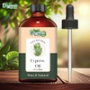 Organic Zing Cypress (Cupressus) Oil | Pure & Natural Essential