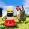Lucky Farm Chick Feeder and Waterer kit 1L Drinker &