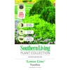 Southern Living Lemon Lime Nandina, 2.5 Qt, Yellow and Green