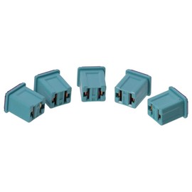 BYOBYO 5Pcs 20A/30A /40A Micro Female Slow Blow Fuse, Car Fuse,Automotive Cartridge Fuse for Cars, Trucks, Buses(20A)