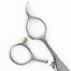 DEEDS LP-01 Scissors 6.0 Inch Professional Japanese Shears Maker for