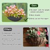 16x80 Inch Fabric Planter Liner Non Woven Plant Felt Roll