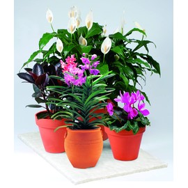 Soil Moist Vacation Watering Mats for Indoor / Outdoor Potted Plants, 2 count