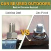 LIONMAX Stainless Steel Concrete Anchor Bolts 3/8" x 3 Inch,