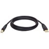 Tripp Lite USB 2.0 High-Speed Cable, Type-A to Type-B (M/M),