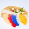35pcs Natural Champagne Ostrich Feathers Total Length 10-12 inch Craft