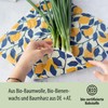 little bee fresh Organic Beeswax Cloths Roll to Cut from