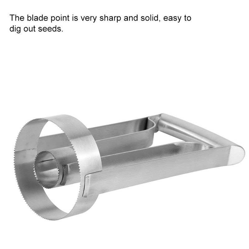 Stainless Steel Pineapple Peeler Cutter Fruit Slicer Core Remover Kitchen