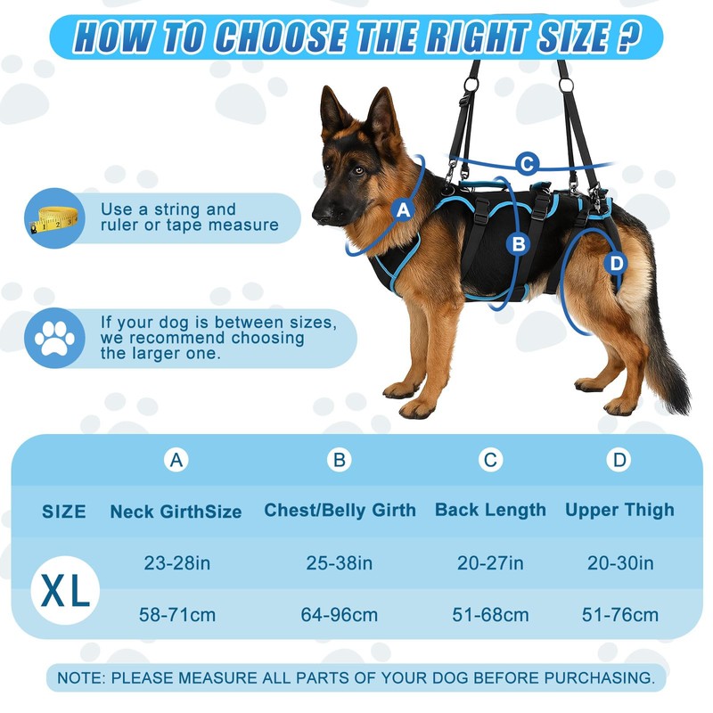Yeyeplum Dog Lift Harness for Large Male Dogs, 2-in-1, Back