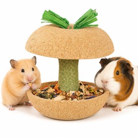 Wagorific Hamster Chew Toys for Teeth – Natural Guinea Pig & Small Animal Chew Treats, Snack Holder & Cage Accessory for Rabbits, Bunnies, Chinchillas, Rats