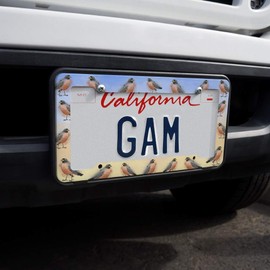GRAPHICS & MORE Robin Watercolor Northeastern Bird License Plate Tag Frame