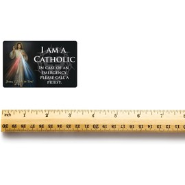 Needzo Divine Mercy Catholic ID, Wallet and Pocket Prayer Card, Religious Keepsake, 2.125 by 3.25 Inches, Pack of 5
