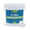 Rx Clear 1" Inch Chlorine Tabs | 5 Pounds |