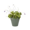 elho Loft Urban Green Wall Pot Single 15 - Flower