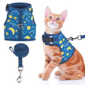 BINGPET Cat Harness with Leash Escape Proof - Fashionable Mesh Cat Dog Walking Harness Leads, Adjustable for Kitties Puppies Small Animals,Galaxy,L