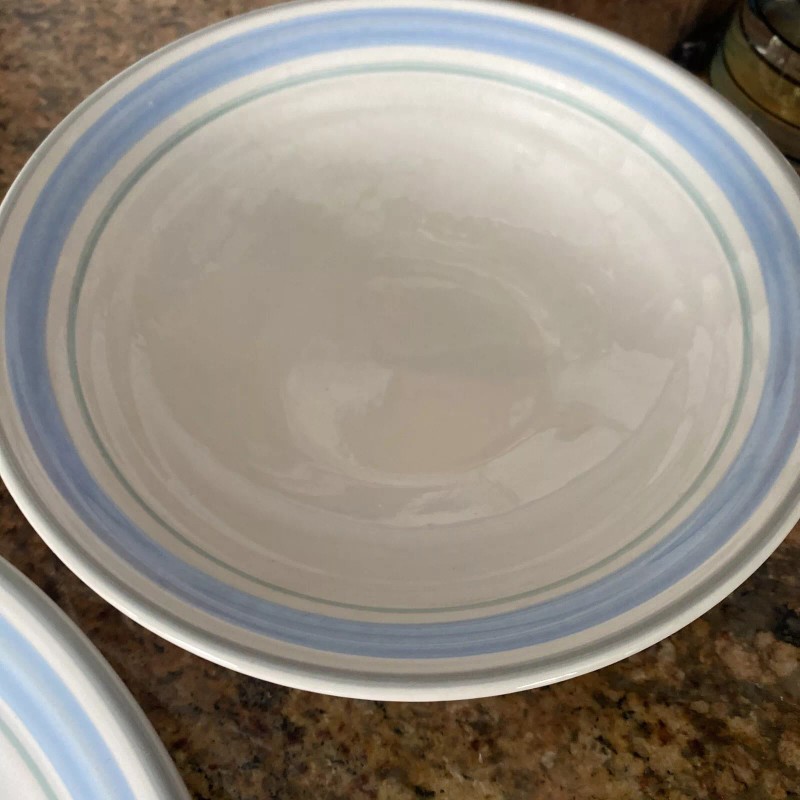 Fascino Dinnner Blue Floral Stoneware FULL SETTING NEVER USED plate