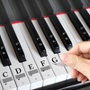 Piano Stickers Keyboard Key Note: Removable Piano Keyboard Note Labels