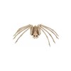 Crazy Bonez Skeleton Spider