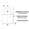 Master Lock 4140EUR Key Padlock with Brass Body, Gold, 6