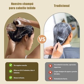Hair Dye Shampoo, 3 in 1 Shampoo Cubre Canas 200ml, Cobertura de Canas Natural, Efecto Duradero, Champú Colorante para Cabello Hombre y Mujer. (Marrón