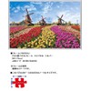 Yanoman 1000 Piece Jigsaw Puzzle Tulip and Windmill (Netherlands) (50x75cm)