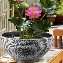 RimCereal 2 Pack Water Lily Planter Bowl 15.6 Inch Large Lotus Flower Bowl Hydroponic Pot Succulent Planter Garden Water Plant Container for Indoor Outdoor Balcony Patio Mini Fish Pond Bird Bath