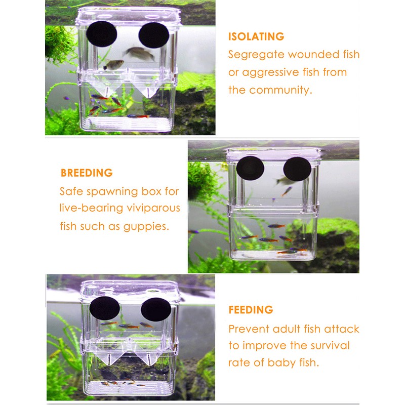 Tiberham Fish Breeding Box, Acrylic Floating Fish Hatchery Isolation Box,