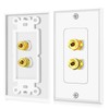 TNP 2 Pack Home Theater Speaker Wall Plate Outlet -