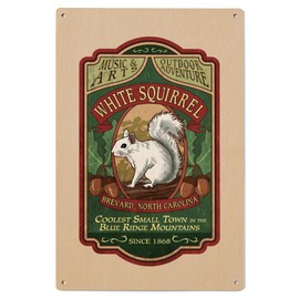 Lantern Press 6x9 Inch Wood Sign, Ready to Hang Wall Decor, Brevard, North Carolina, White Squirrel, Vintage Sign,