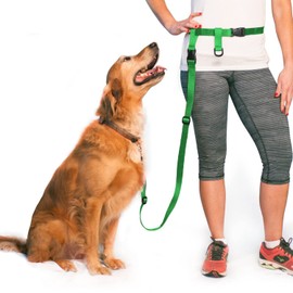 The Buddy System Hands Free Dog Leash, Adjustable Leash for Running, Jogging, Training and Service Dogs, Great for Small, Medium and Large Dogs, Made in USA (Green, Regular Belt (22"- 40" Waist))
