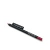 FACEWORKS HypoAllergenic Lip Stick Pencils (Pink About it Gel Lip