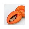 Aceite De Hueso De Mamey Puro Cosmetico Y Alimenticio 250ml