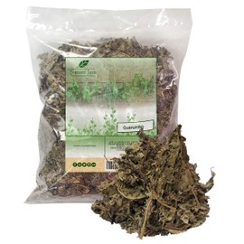 Guarumbo-Trumpet Tree Leaves/Cecropia obtusifolia 1/2 Pound aka Chancarro, Grayumbo, Guarumbo, Hormiguillo, Pop-a-Gun, Snakewood Tree, Tree of Laziness, Trompeto, Yagrumo