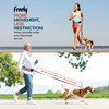PORTENTUM Laisse canicross Chien, Main Libre Chien, Anti-tirons, pour Ceinture,
