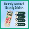 Zevia Organic Sweetened Caffeine Free Hibiscus Tea Passionfruit 12 Fl